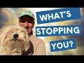 Whats stopping you why arent you where you want to be day 124 of 365 days of positive selftalk