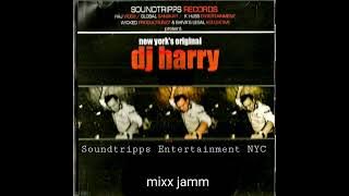 Shah-E-Dilbara / Aapne Deewani Rani (Dancehall Mix) - DJ Harry (Soundtripps Entertainment NYC)
