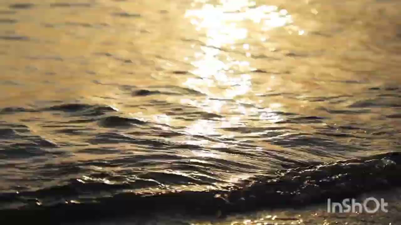 الشفاء من الوسواس القهري يبدأ بخطة 