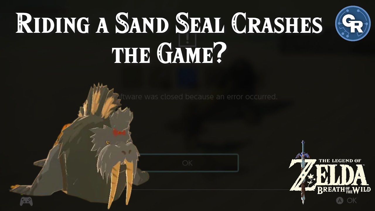 How to use ONE Sand Seal to Crash The Legend of Zelda Breath of the