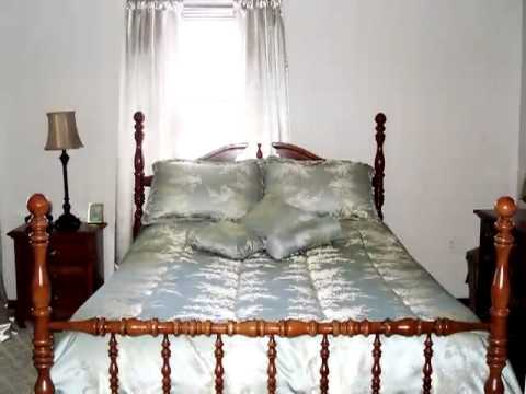 1038 E River Rd, Grand Island, NY home video tour