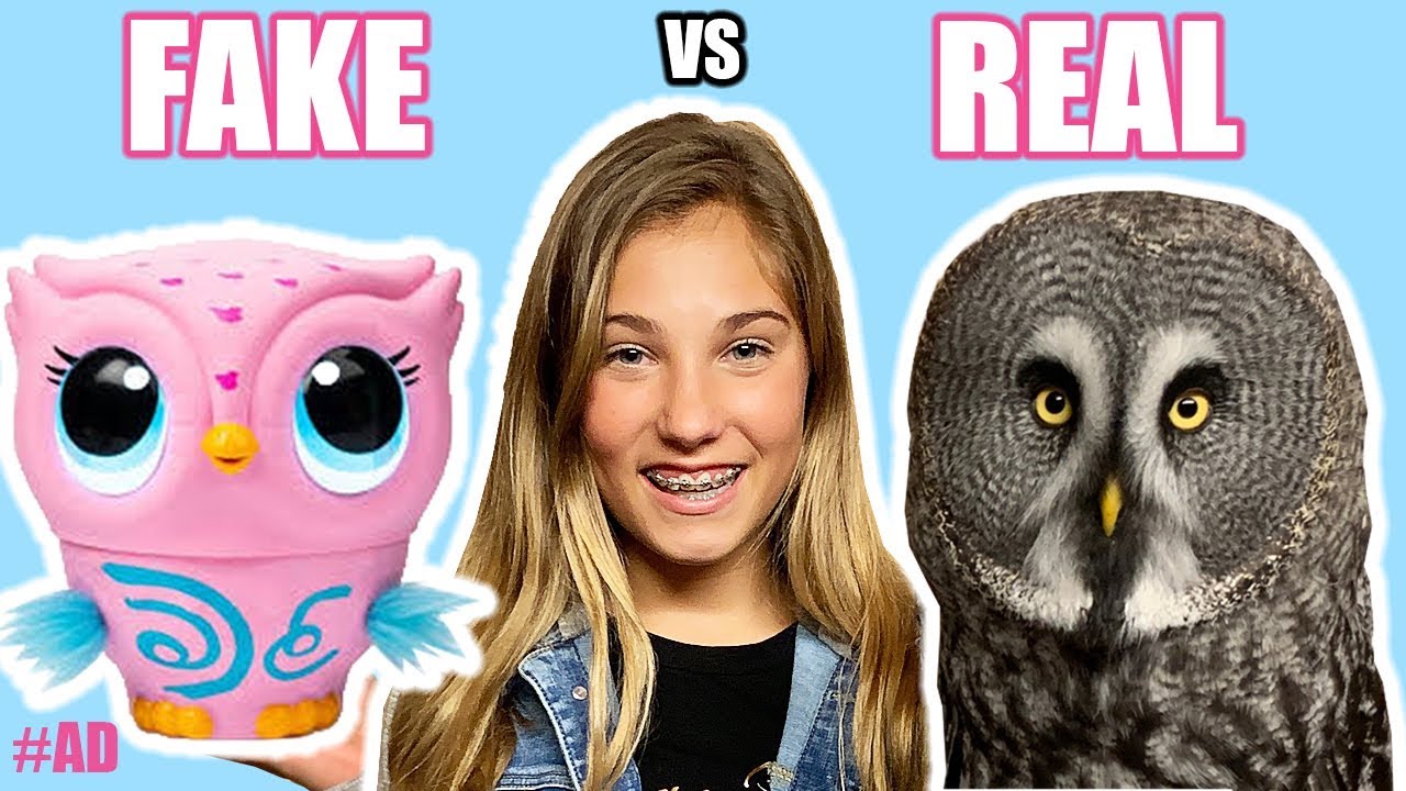 REAL Vs FAKE | OWL VLOG | TOY UNBOXING Owleez | Rosie McClelland