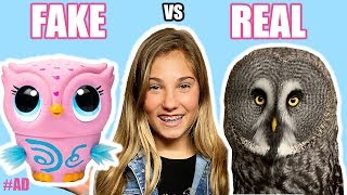 Real Vs Fake Owl Vlog Toy Unboxing Owleez Rosie Mcclelland
