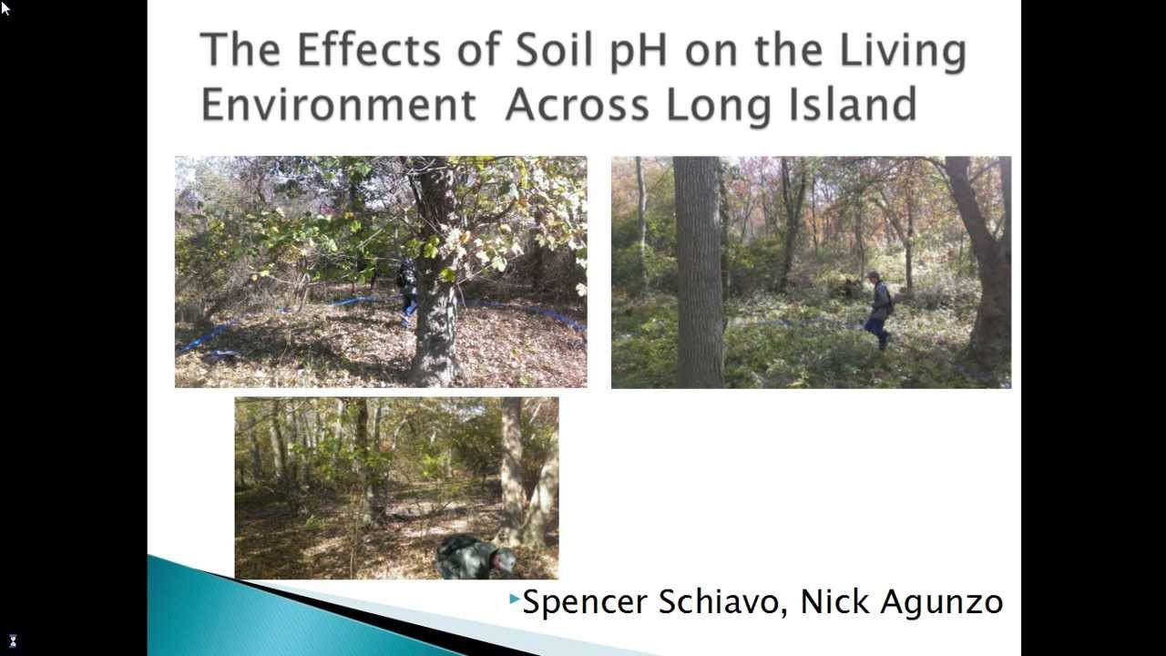 The Effects of Soil pH on the Living Environment Across Long Island