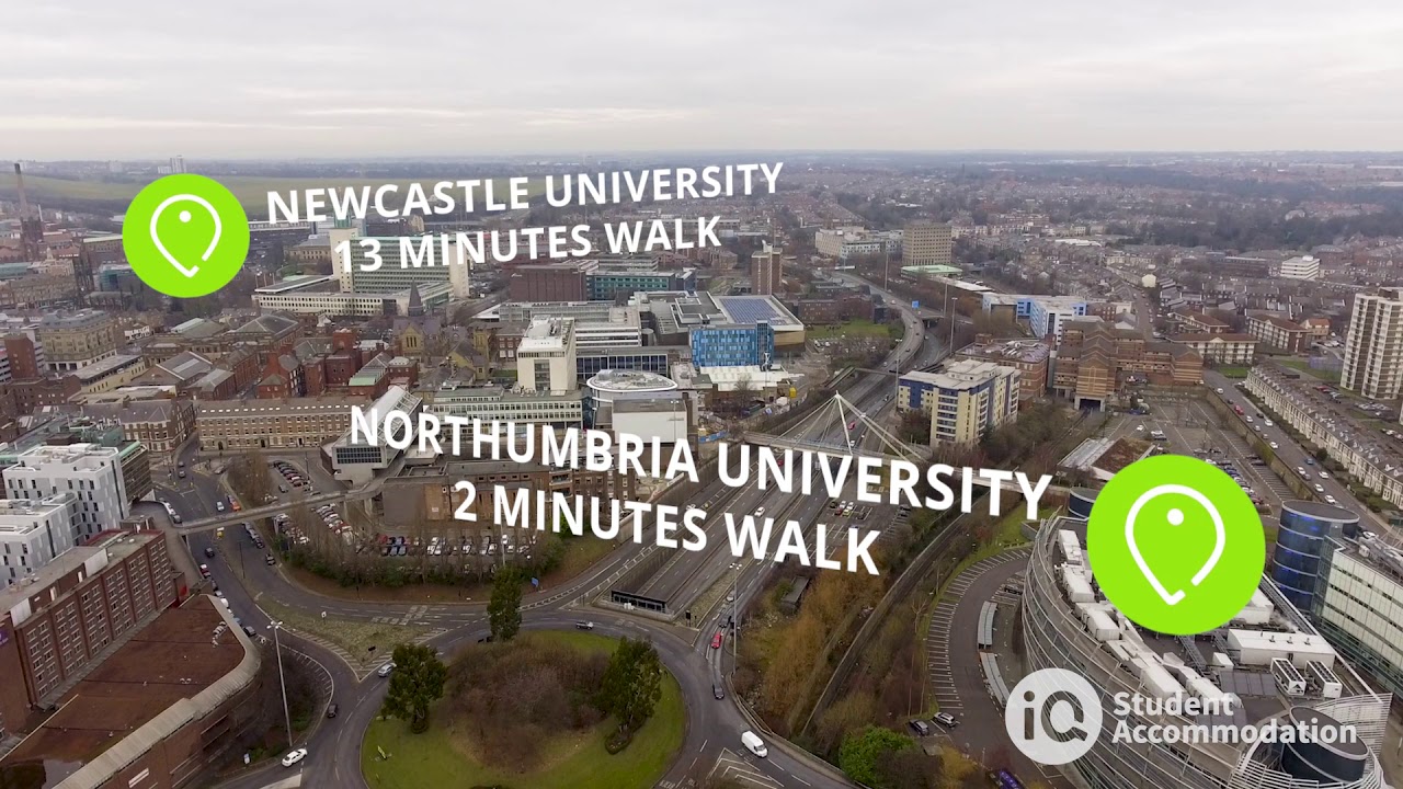 iQ Collingwood, Newcastle