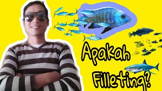 cara fillet ikan RED SNAPPER