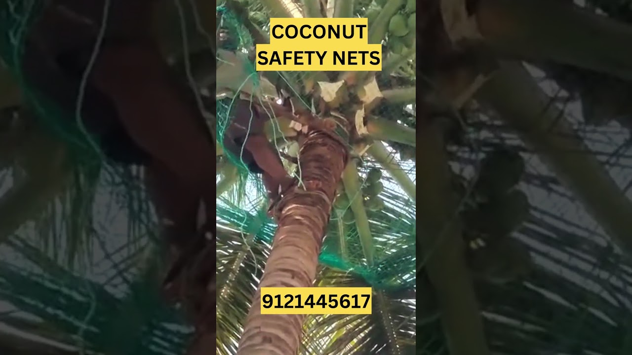 coconut safety  nets