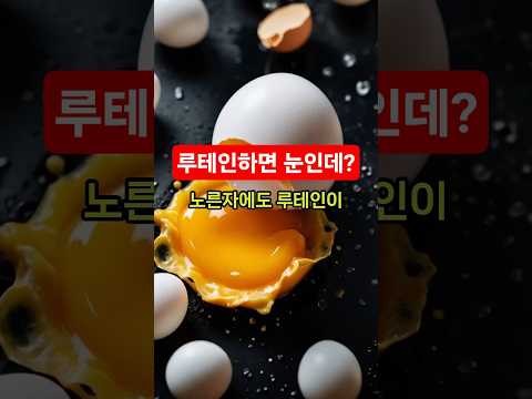 당뇨와 눈 건강, #당뇨 #눈 #건강정보 #건강 #건강식단