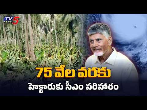 ఏ పంటకు ఎంత? Chandrababu Cyclone Arnab Crop Compensation Per Hectare || TV5 News - TV5NEWS