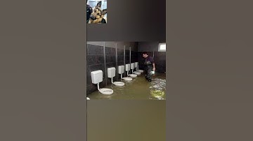 Funniest design fails ever 🤣 part 73 #shorts #funny #pranavmalhotraarts