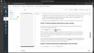 Lab 8 - Using AI for Text Analysis | AWS Academy Introduction to Cloud: Semester 2 [90773]