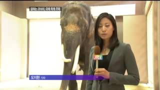 20121102좋아,안돼말하는코끼리논문에실리다 screenshot 5