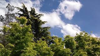 Classical Improvisational Piano #2 Spring Breeze
