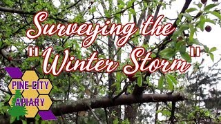 Surveying the "WINTER STORM"