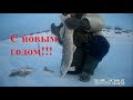 Клевая рыбалка с Новым годом! Якутия Yakutia