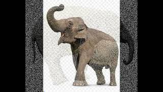 Baby Elephant Walk / Java - Al Caiola & Billy May