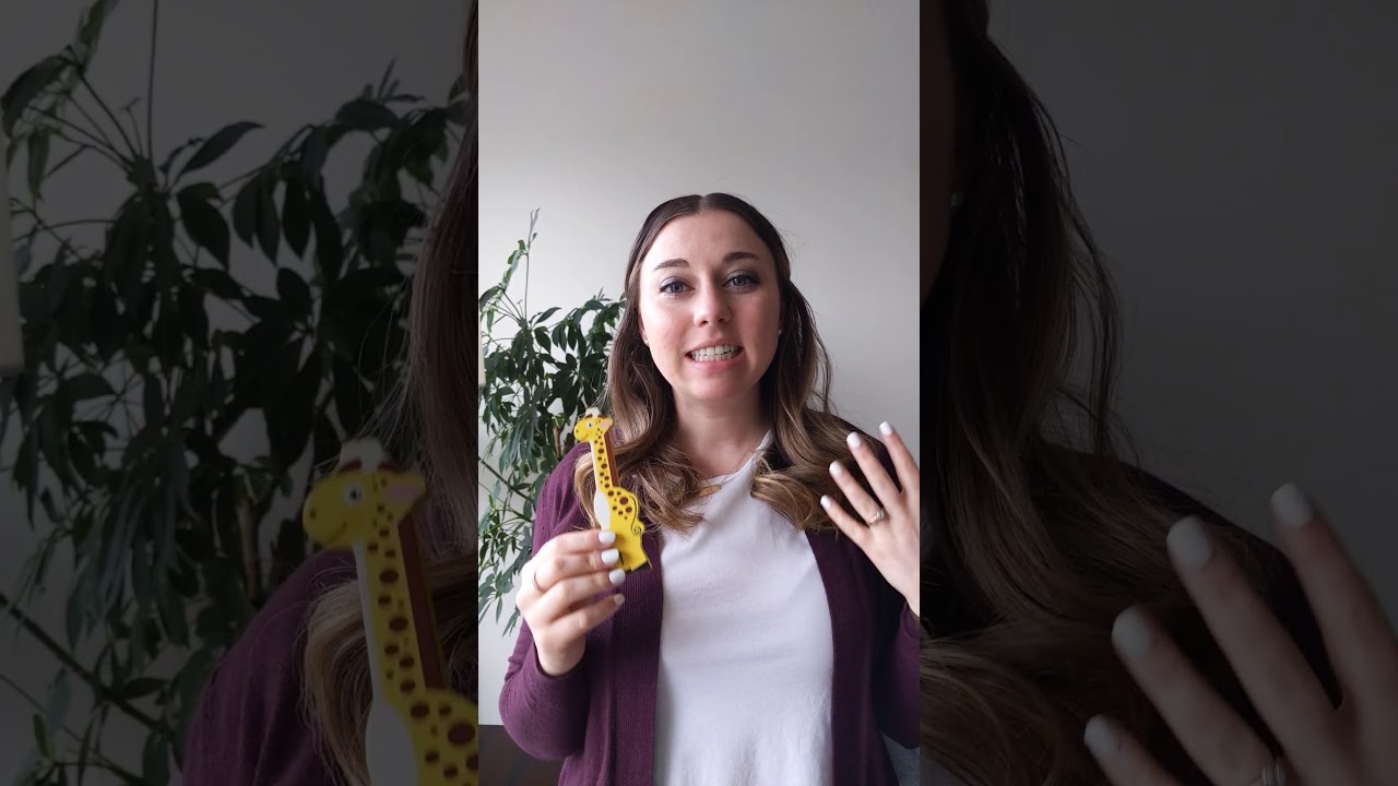 Giovanni giraffe likes... An Alliteration Game