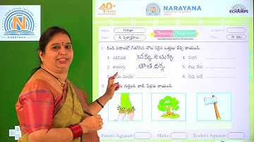 26TH NOV AP CLASS IV SL TELUGU AMAZING ASSIGNMENT KEY