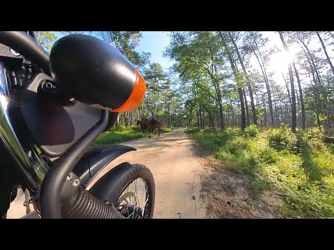 Royal Enfield Himalayan: Riding the Sam Houston Loop