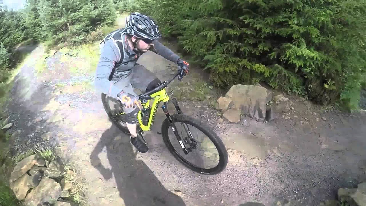 Hamsterley Red Route