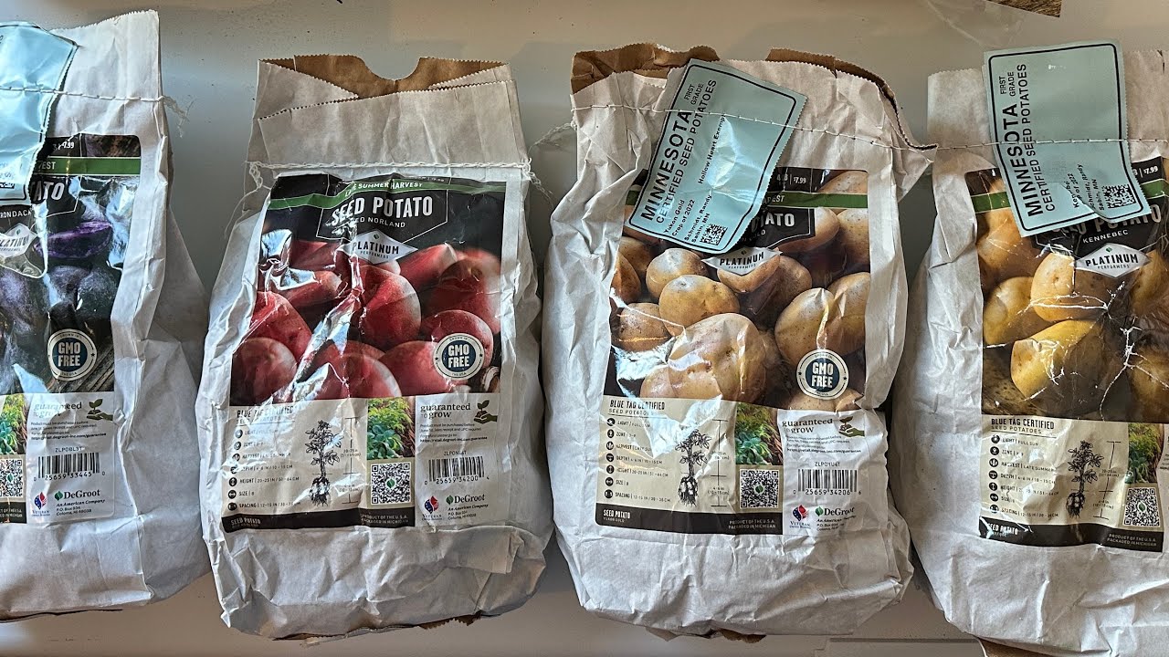 S06E06 Got Seed Potatoes 🥔? Shop around! My local Tractor Supply has