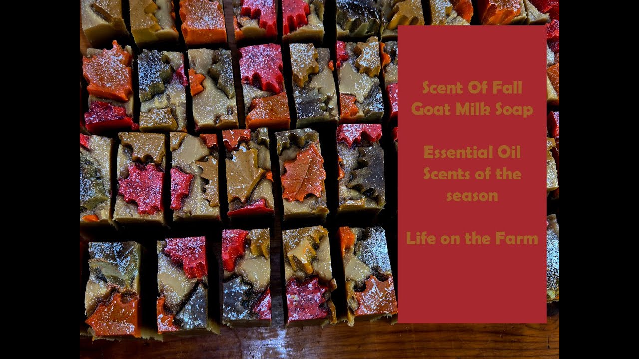 Изготовление мыла из козьего молока с ароматами осени