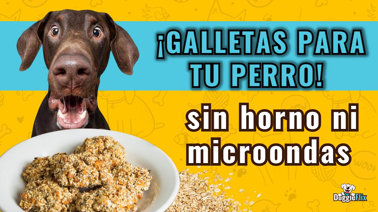 8  RECETAS fáciles  DE GALLETAS  para perros