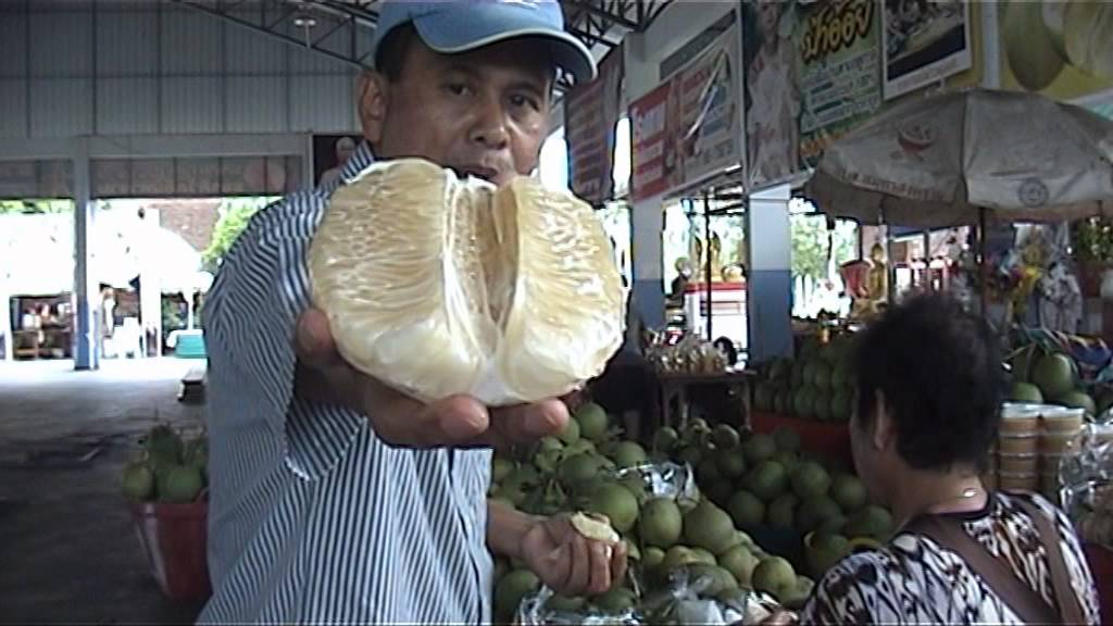 ส้มโอ ขาวใหญ่ อัมพวา สมุทรสงคราม - YouTube
