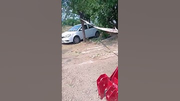 Shake the tree picking device- Good tools and machinery make work easy