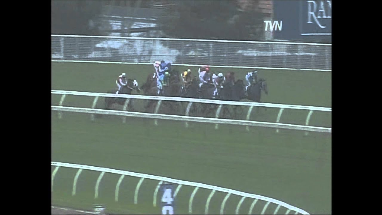 Atomic Force winning the Gr1 Galaxy Stakes