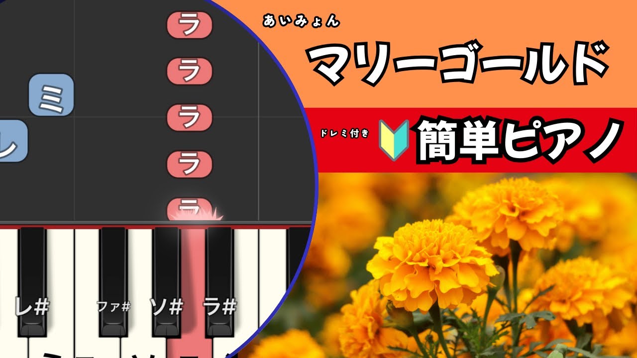 マリーゴールド/あいみょん　　かんたんピアノ　ドレミ付きゆっくり