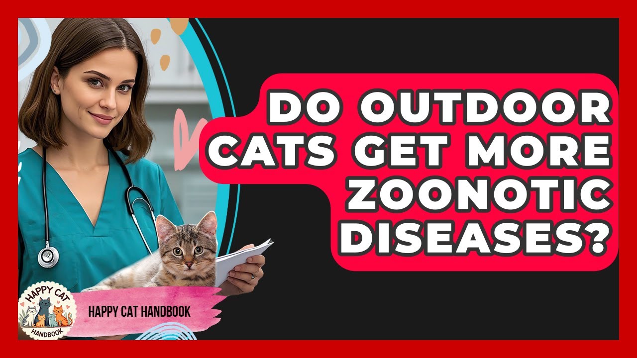 Do Outdoor Cats Get More Zoonotic Diseases? - Happy Cat Handbook