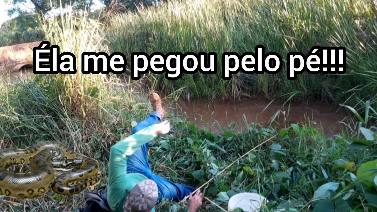 Éla me pegou pelo pé!!!
