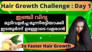 Hair Growth Challenge : Day 1 / 3x Faster Hair Growth With Ginger Juice / How to Faster Long Hair ?. screenshot 4