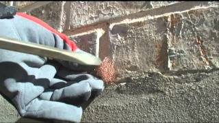 Rodent and Pest Control Services in Austin, Texas