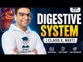 Master Digestive System in One Video ⚡ | Class X | NEET Ready @ Smart Vidyarthi