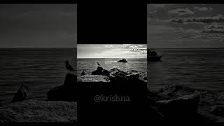 Zindagi… tu sun toh rahi hai na? 🌙 #deepfeeling #music #sadlove #alone #peacefulvibes @krishna-n3s1k