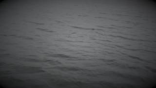 I Need Something (Unreleased) w/ Rain and Echo