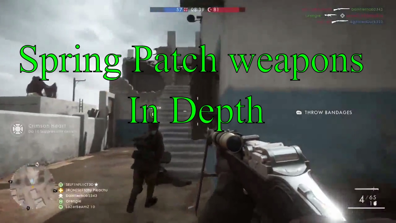 Spring Patch weapons In Depth