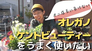 オニちゃんに負けない！オレガノケントビューティーをうまく使いたい【園芸】