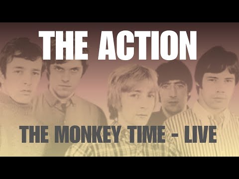 The Action - The Monkey Time (Live)