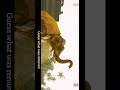 Vfx cleanup #vfx #bahubali #trending #objectremoval #like