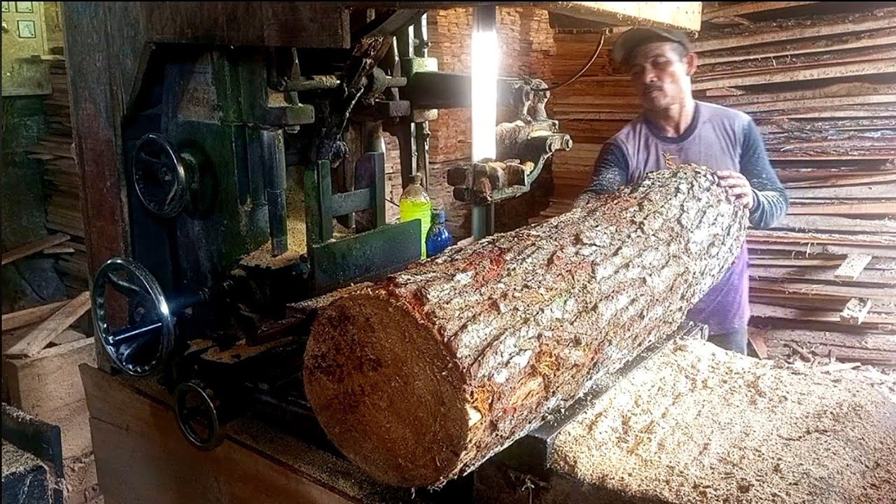 the process of sawing large pine logs - YouTube