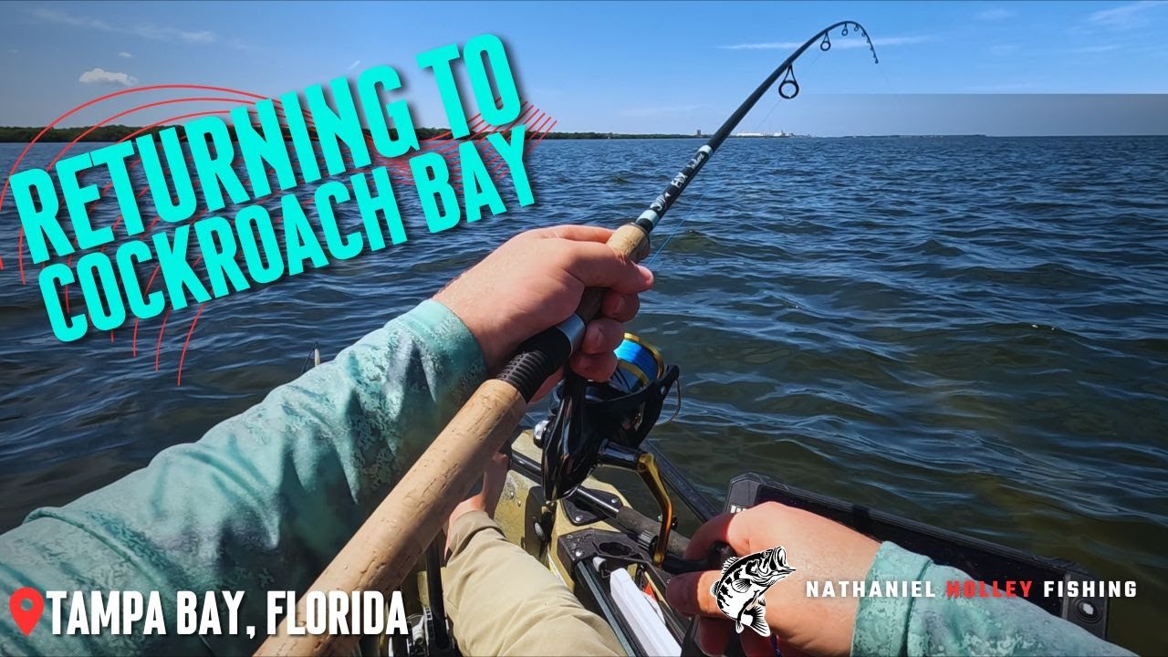 Searching for a 50,000 Redfish! Kayak Fishing Tampa Bay, Florida