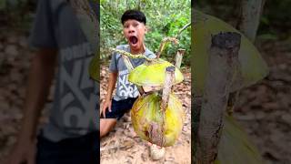 COCONUT Hacks For Wilderness Survival #bushcraft #survival #camping