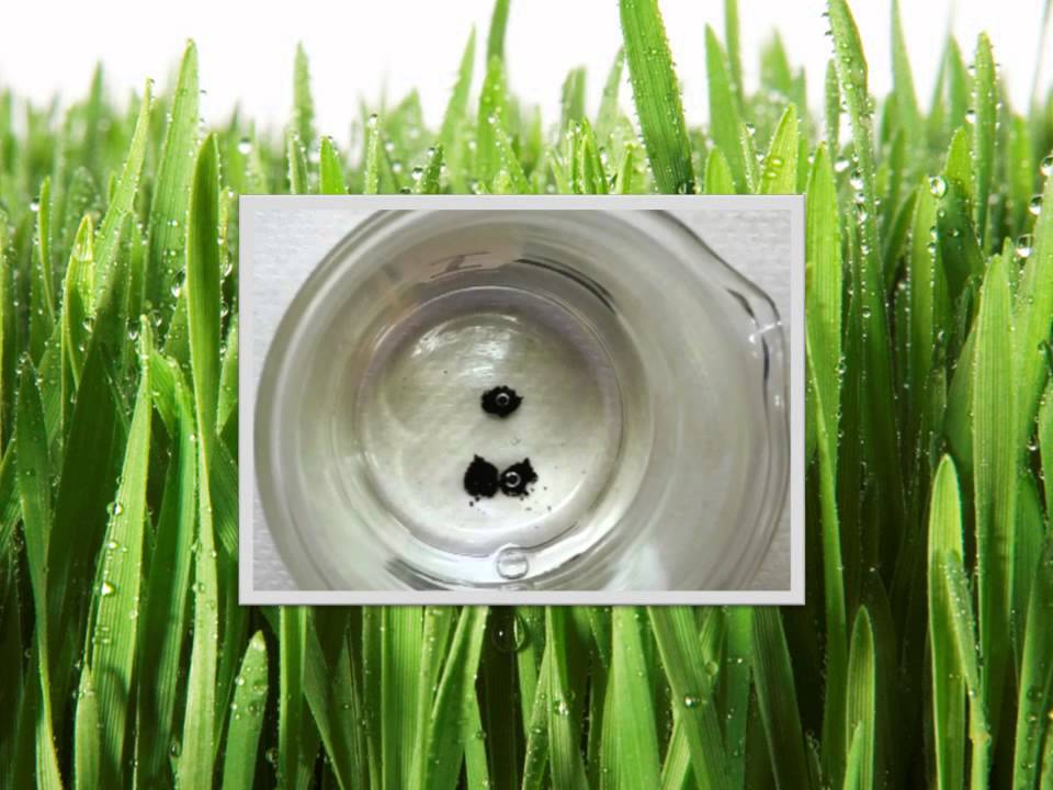 Granusol Fe Sucrate in Action