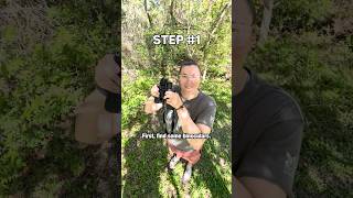 Birding 101 #birding