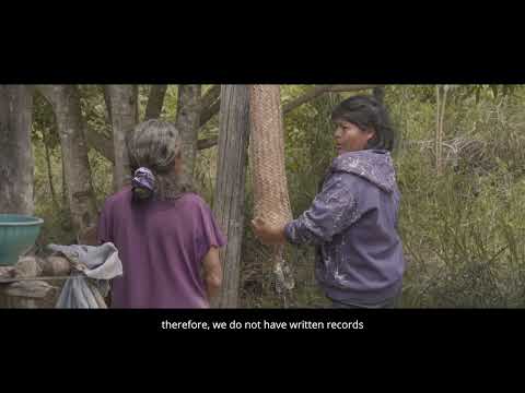 Indigenous Peoples' traditional knowledge of fire in the Guiana Shield