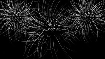 Objects with matrix extrude ( CINEMA 4D TUTORIAL ) ❤️ C4D4U