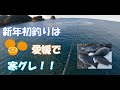 #62 【愛媛県西予市下泊】 宇和の海から謹賀新年！一発目のターゲットは青い瞳の旨いヤツ！